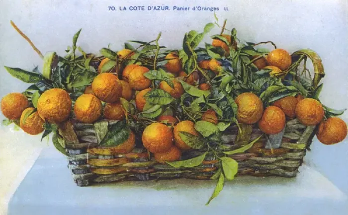 Framed Print : Cote d Azur, France - basket of fresh oranges