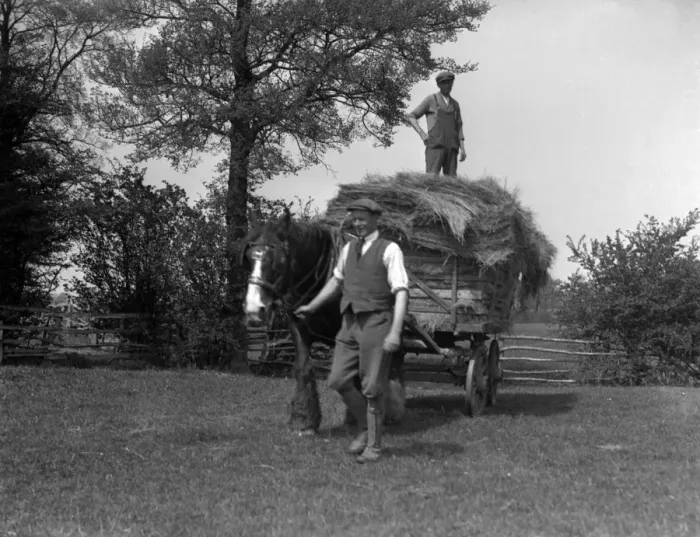 Framed Print : Cotswolds Hay Cart Framed Print : Cotswolds Hay Cart