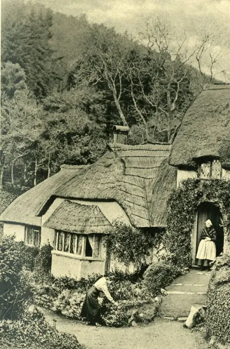 Framed Print : Cottage in the village of Selworthy Green, Somerset Framed Print : Cottage in the village of Selworthy Green, Somerset