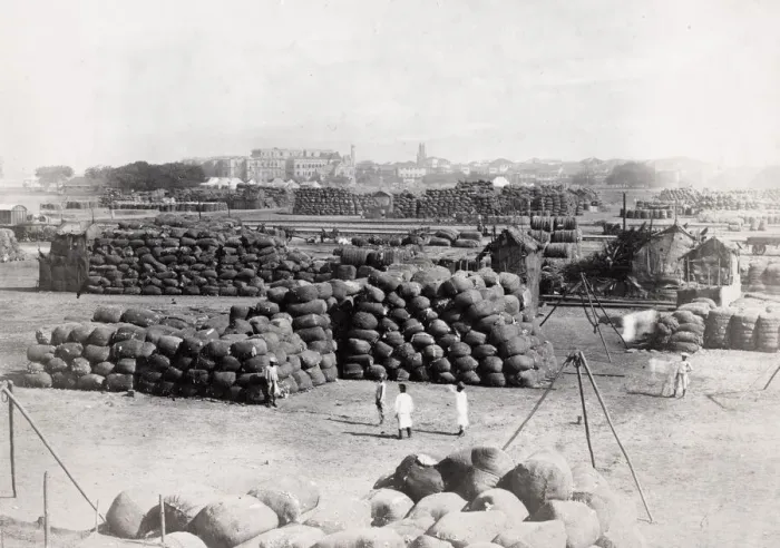 Framed Print : Cotton bales waiting for export, India Framed Print : Cotton bales waiting for export, India