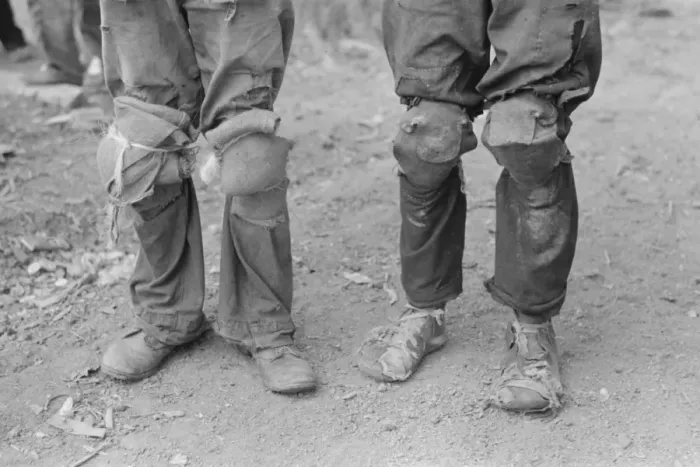 Framed Print : Cotton pickers with knee pads, Lehi, Arkansas Framed Print : Cotton pickers with knee pads, Lehi, Arkansas