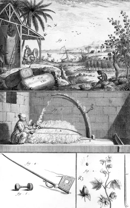 Framed Print : Cotton Processing 18th C Framed Print : Cotton Processing 18th C