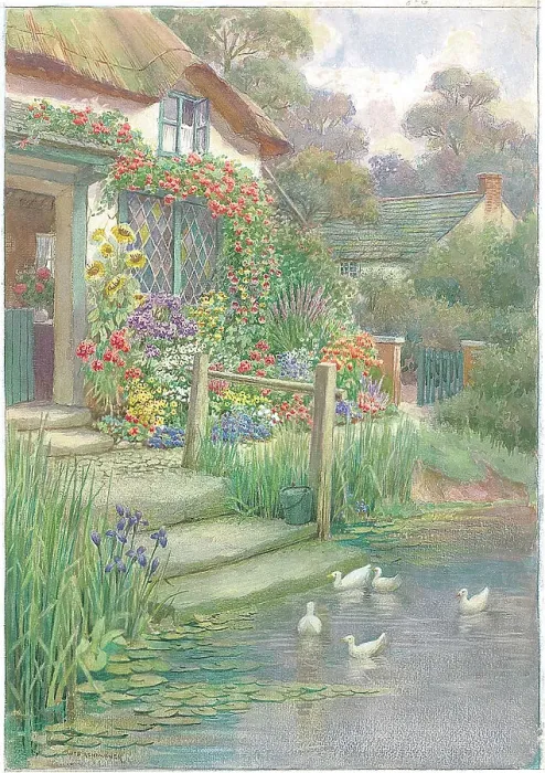 Framed Print : Cotttage with purple iris, lillies, sunflowers etc Framed Print : Cotttage with purple iris, lillies, sunflowers etc