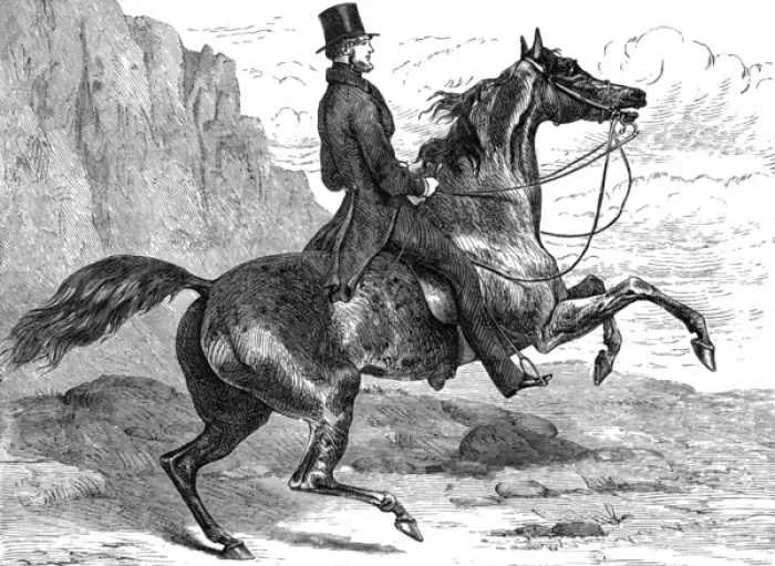 Framed Print : Count D orsay Riding Framed Print : Count D orsay Riding