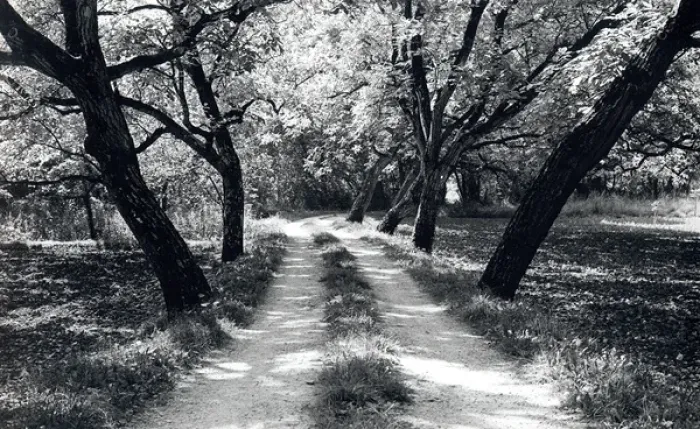 Framed Print : Country lane in the Dordogne, France Framed Print : Country lane in the Dordogne, France