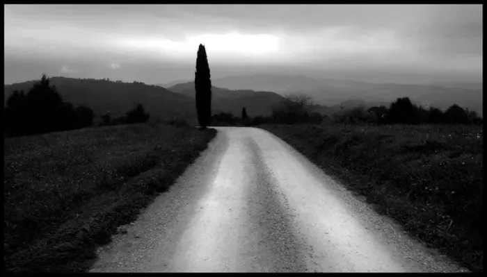 Framed Print : Country road with cypress tree Tuscany Framed Print : Country road with cypress tree Tuscany
