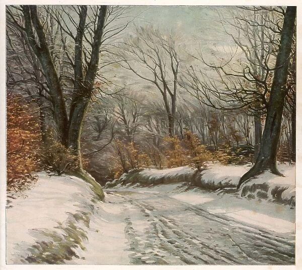 Country Road in Snow
