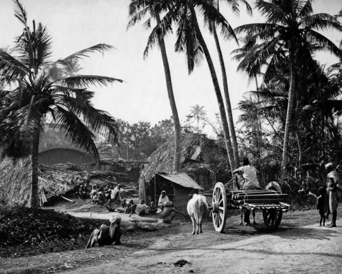 Framed Print : Country scene, Bengal, India Framed Print : Country scene, Bengal, India