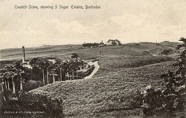 Country scene with five sugar estates, Barbados, West Indies
