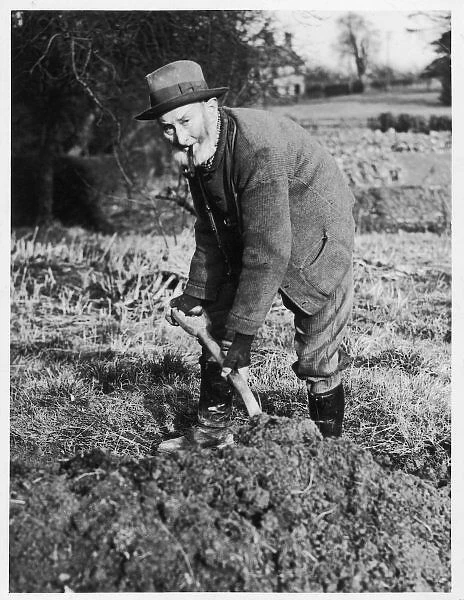 Countryman Digging. Countryman digging