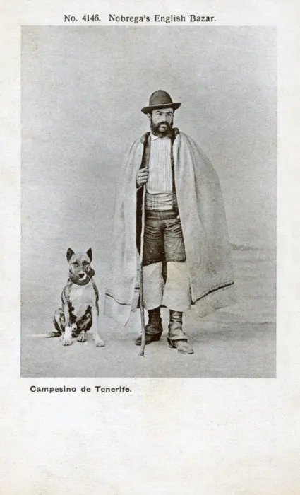 Framed Print : Countryman of Tenerife with his bull terrier, Spain Framed Print : Countryman of Tenerife with his bull terrier, Spain