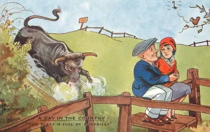 Framed Print : Couple attacked by a bull Framed Print : Couple attacked by a bull