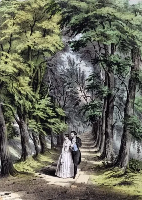 Framed Print : Couple walking in the woods Framed Print : Couple walking in the woods