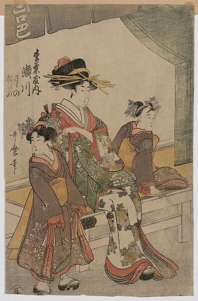 The Courtesan Segawa of Matsuba-ya