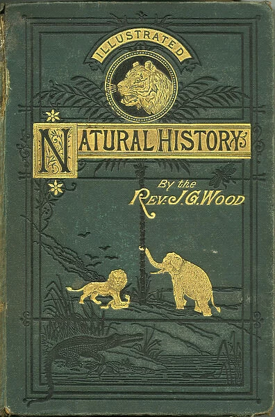 Front Cover of Illustrated Natural History by Rev Wood