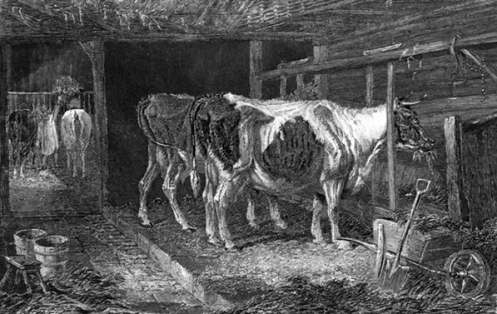 Framed Print : Cow House, Ca 1840 Framed Print : Cow House, Ca 1840