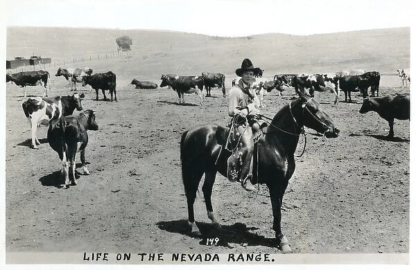 Cowboy on the Nevada Range, Nevada, USA