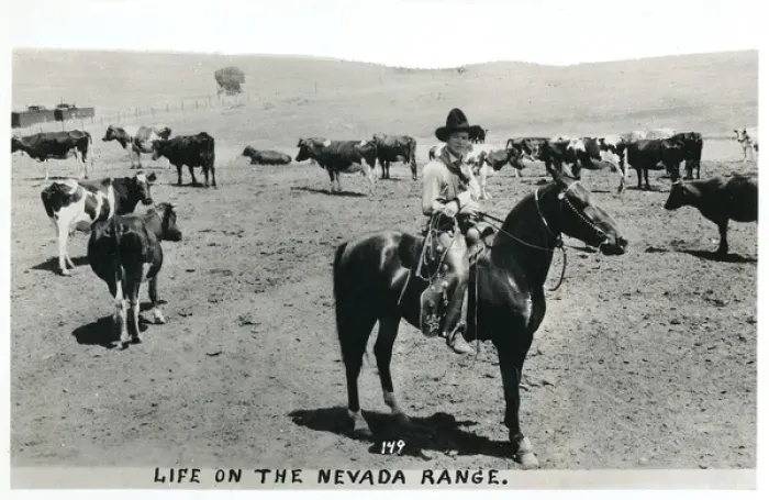 Framed Print : Cowboy on the Nevada Range, Nevada, USA Framed Print : Cowboy on the Nevada Range, Nevada, USA