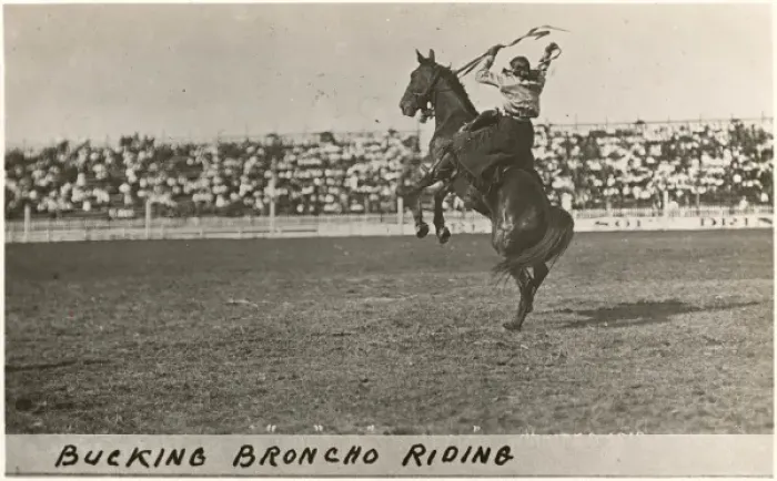 Framed Print : Cowboy riding a bucking Broncho Framed Print : Cowboy riding a bucking Broncho