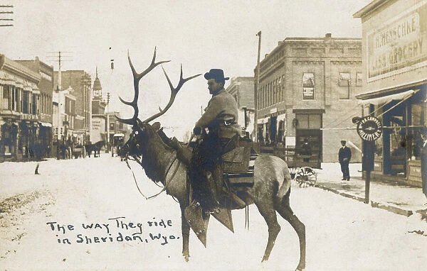 Cowboy riding elk, Sheridan, Wyoming, USA