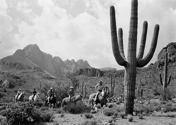 Cowboys (and a cowgirl), riding past some huge cacti in the American South West
