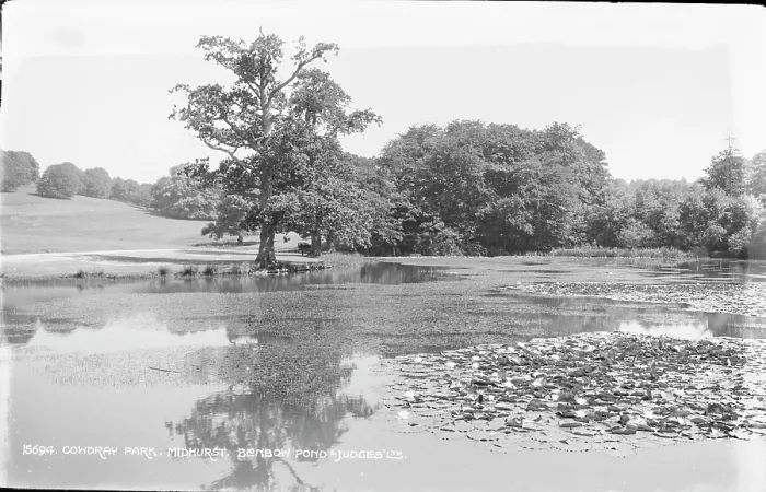 Framed Print : Cowdray Park, Benbow Pond Framed Print : Cowdray Park, Benbow Pond