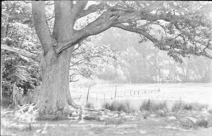 Framed Print : Cowdray Park, Bendow Pond Framed Print : Cowdray Park, Bendow Pond