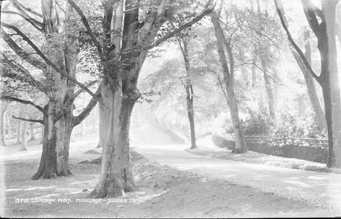 Framed Print : Cowdray Park in Midhurst Framed Print : Cowdray Park in Midhurst