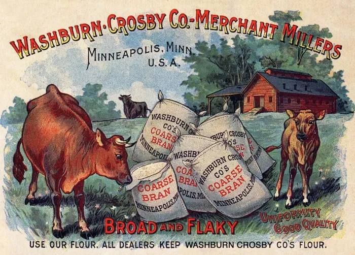 Framed Print : Cows Raid Grain Sacks Framed Print : Cows Raid Grain Sacks