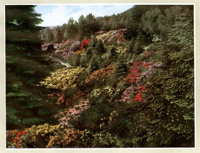 Framed Print : Cragside House, near Rothbury, Northumberland