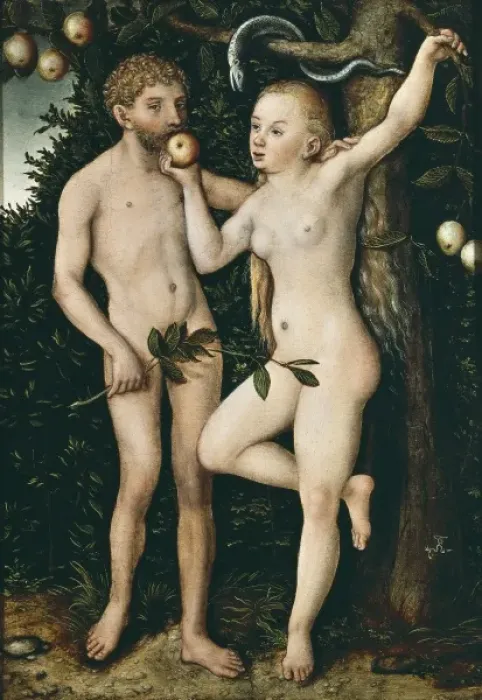 Framed Print : Cranach, Lucas, the Elder (1472-1553). Adam Framed Print : Cranach, Lucas, the Elder (1472-1553). Adam