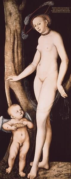 Cranach, Lucas, the Elder (1472-1553). Venus