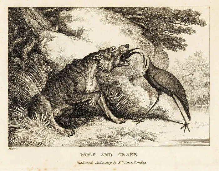 Framed Print : A crane puts its head into a wolf's mouth Framed Print : A crane puts its head into a wolf's mouth