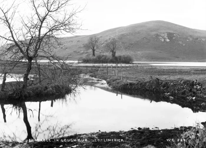Framed Print : Crannogue in Lough Gur, Co Limerick Framed Print : Crannogue in Lough Gur, Co Limerick