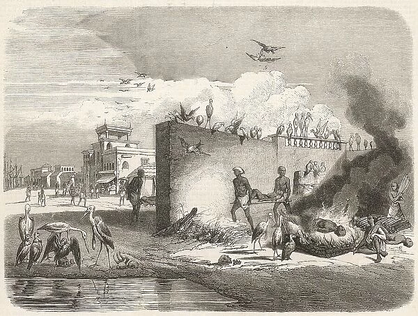Cremation Calcutta Death Regional India 1859