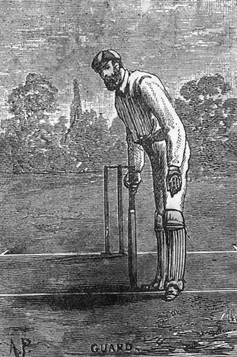 Framed Print : Cricket Batting Framed Print : Cricket Batting