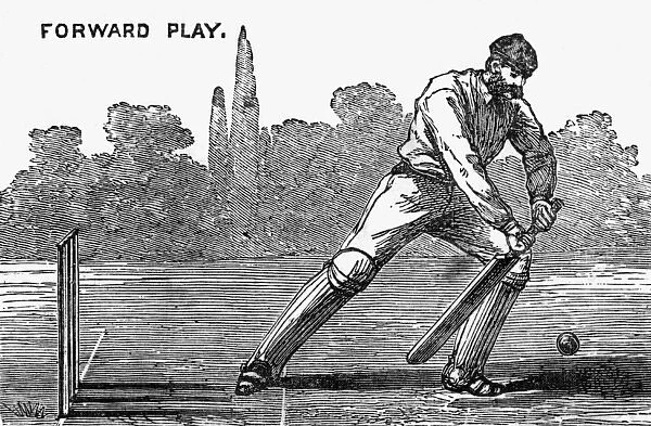 Cricket Forward Play Shot