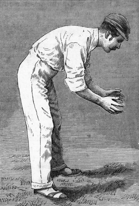 Framed Print : Cricket Short Slip Framed Print : Cricket Short Slip