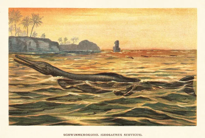 Framed Print : Cricosaurus suevicus, extinct marine crocodyliform Framed Print : Cricosaurus suevicus, extinct marine crocodyliform