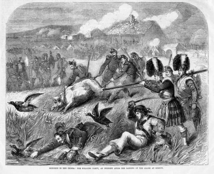 Framed Print : Crimean War, foraging party after landing at Kerch Framed Print : Crimean War, foraging party after landing at Kerch