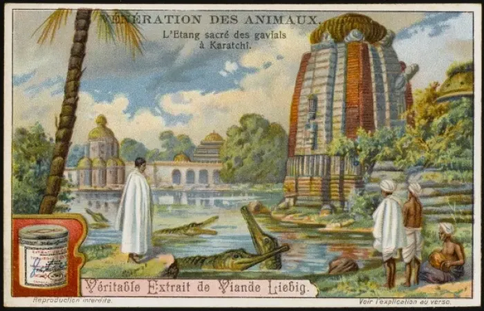 Framed Print : Crocodile Worship Framed Print : Crocodile Worship