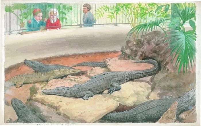 Framed Print : Crocodiles and Alligators at London Zoo Framed Print : Crocodiles and Alligators at London Zoo