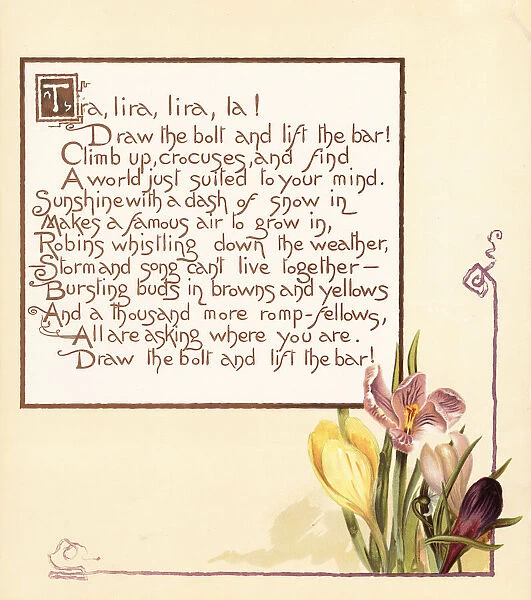 Crocus flowers, Crocus sativus, and calligraphic poem