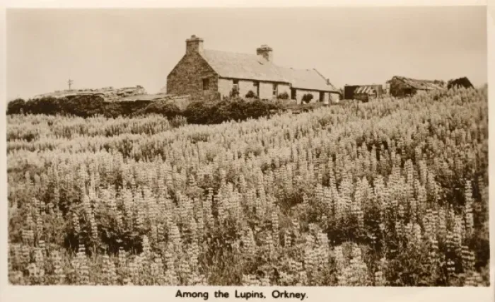 Framed Print : Crofters Cottage, Orkney Framed Print : Crofters Cottage, Orkney