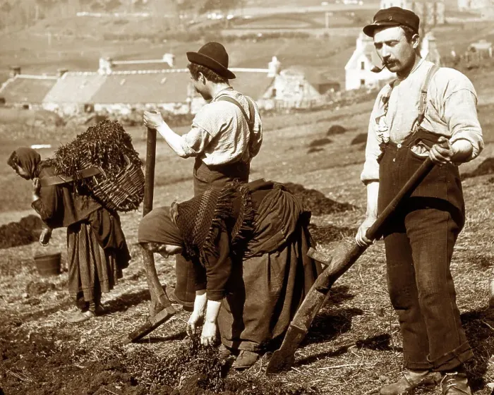 Framed Print : Crofters cutting peat on the west coast of Scotland Framed Print : Crofters cutting peat on the west coast of Scotland
