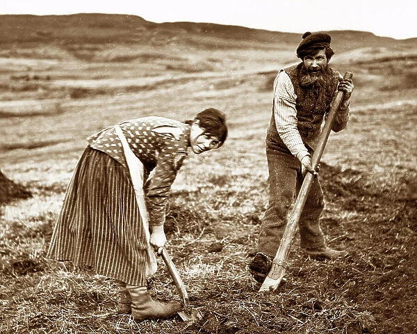 Crofters cutting peat on the west coast of Scotland
