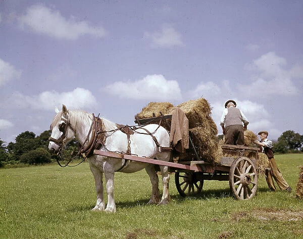Crofters with horse and cart, Barra, Outer Hebrides