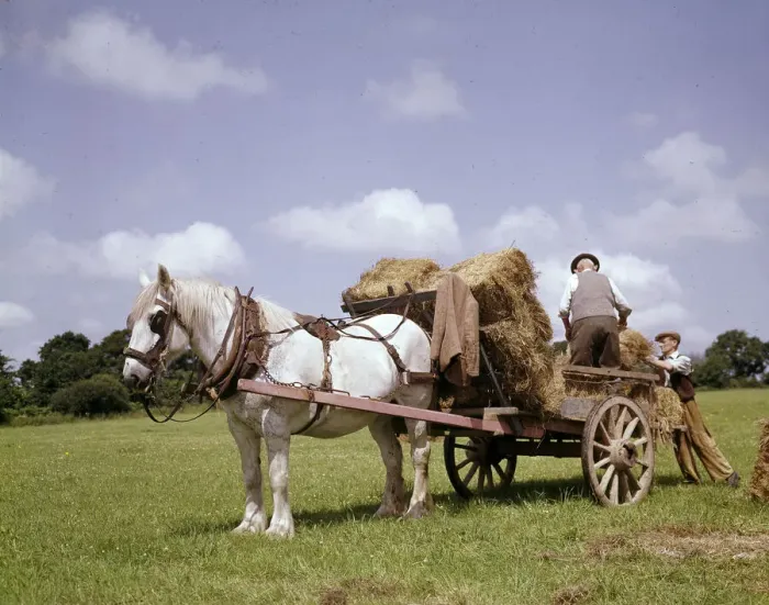Framed Print : Crofters with horse and cart, Barra, Outer Hebrides Framed Print : Crofters with horse and cart, Barra, Outer Hebrides