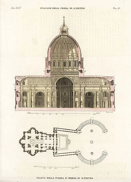 Cross-section and plan of St. Peters Basilica, Rome
