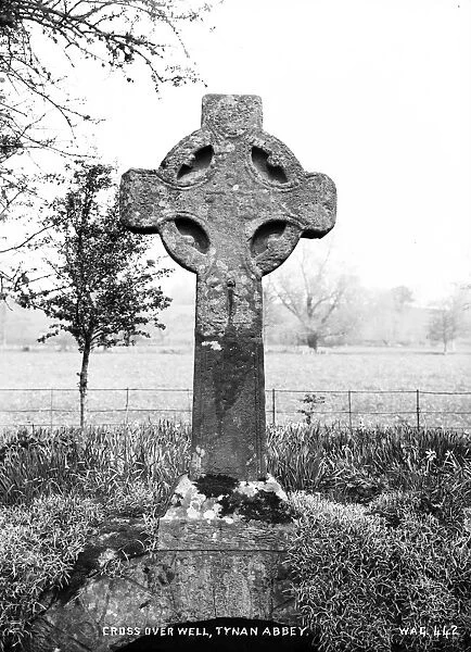 Cross Over Well, Tynan Abbey
